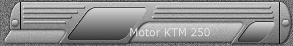 Motor KTM 250